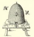 Drawing of skep with bees
